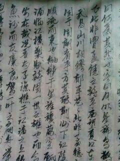 13农学2班陈柯燃作