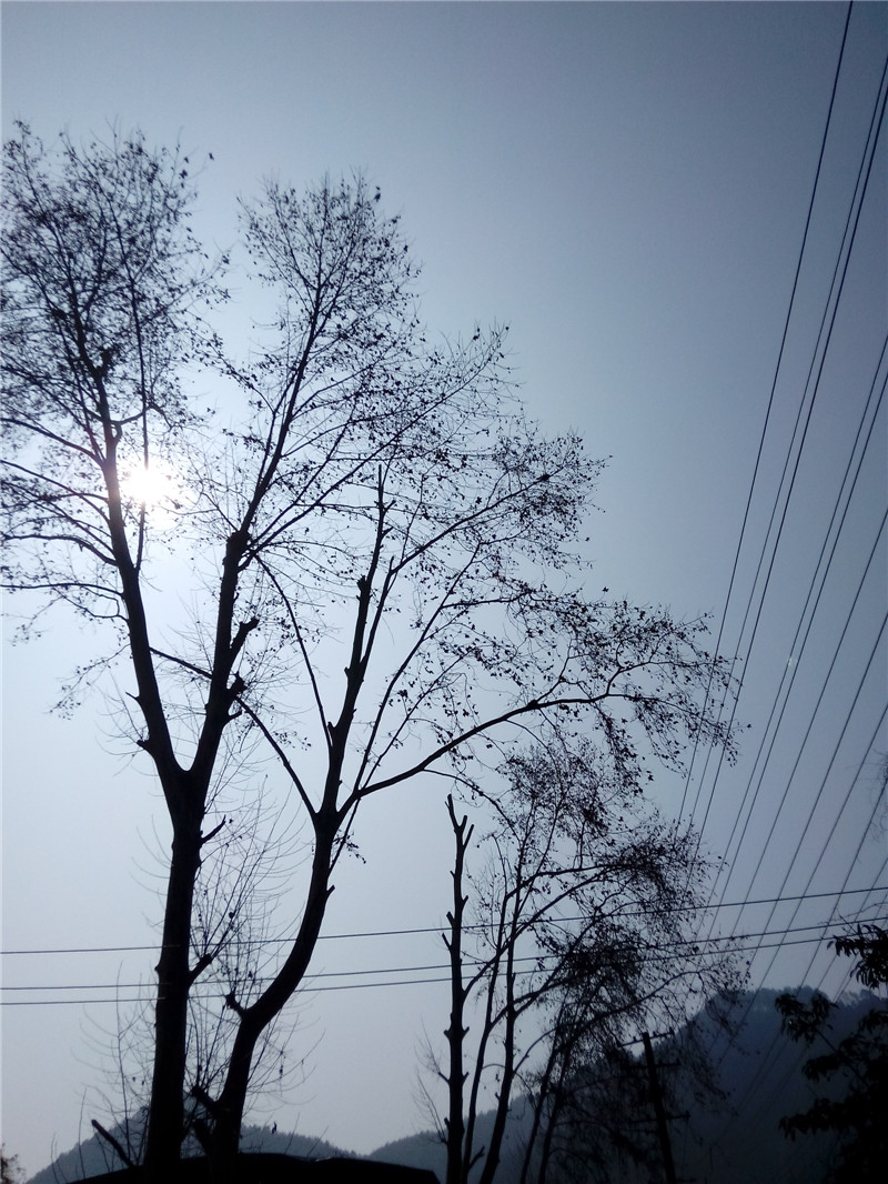秋遇几何系列2